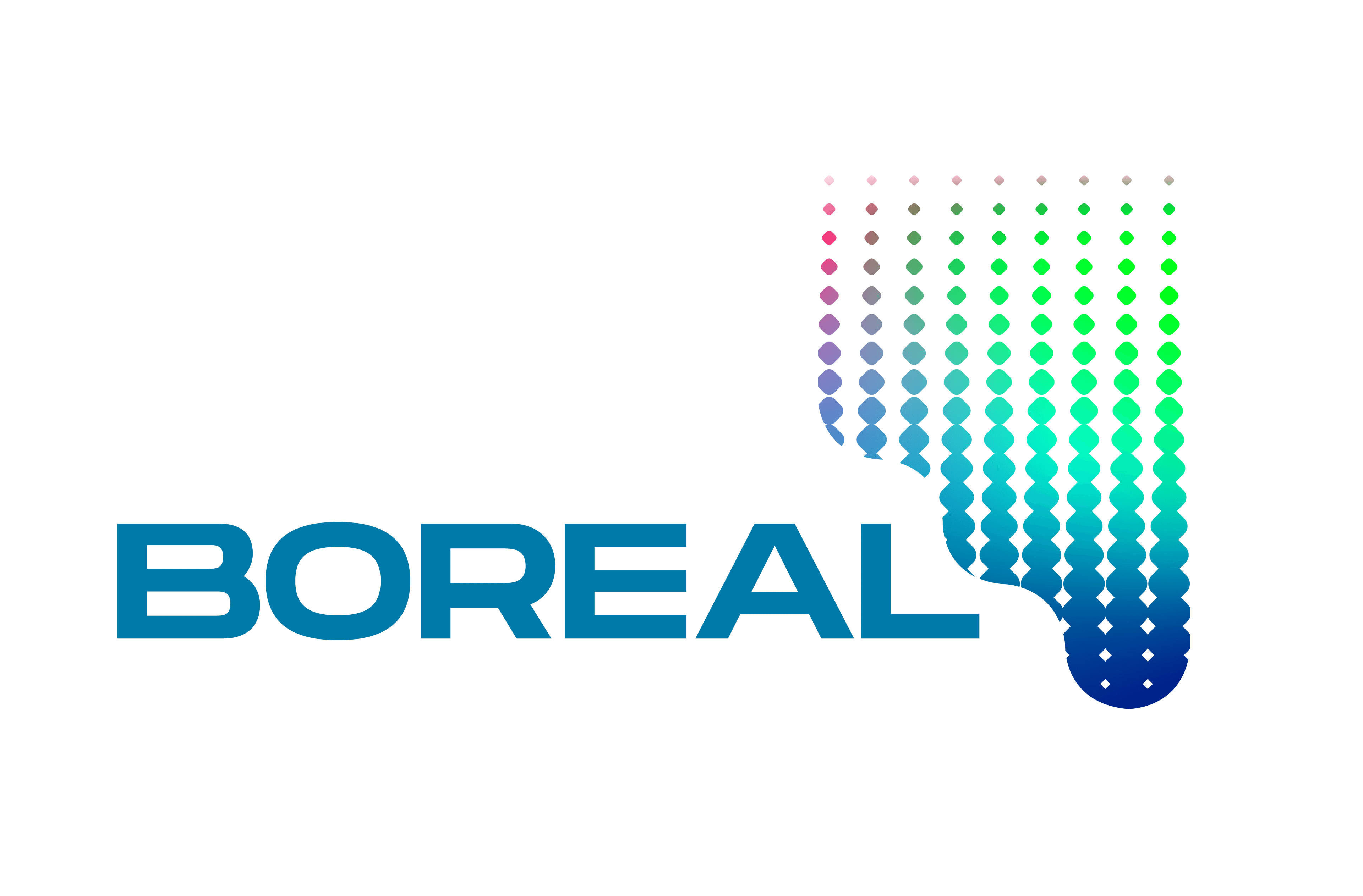 Logo Boreal